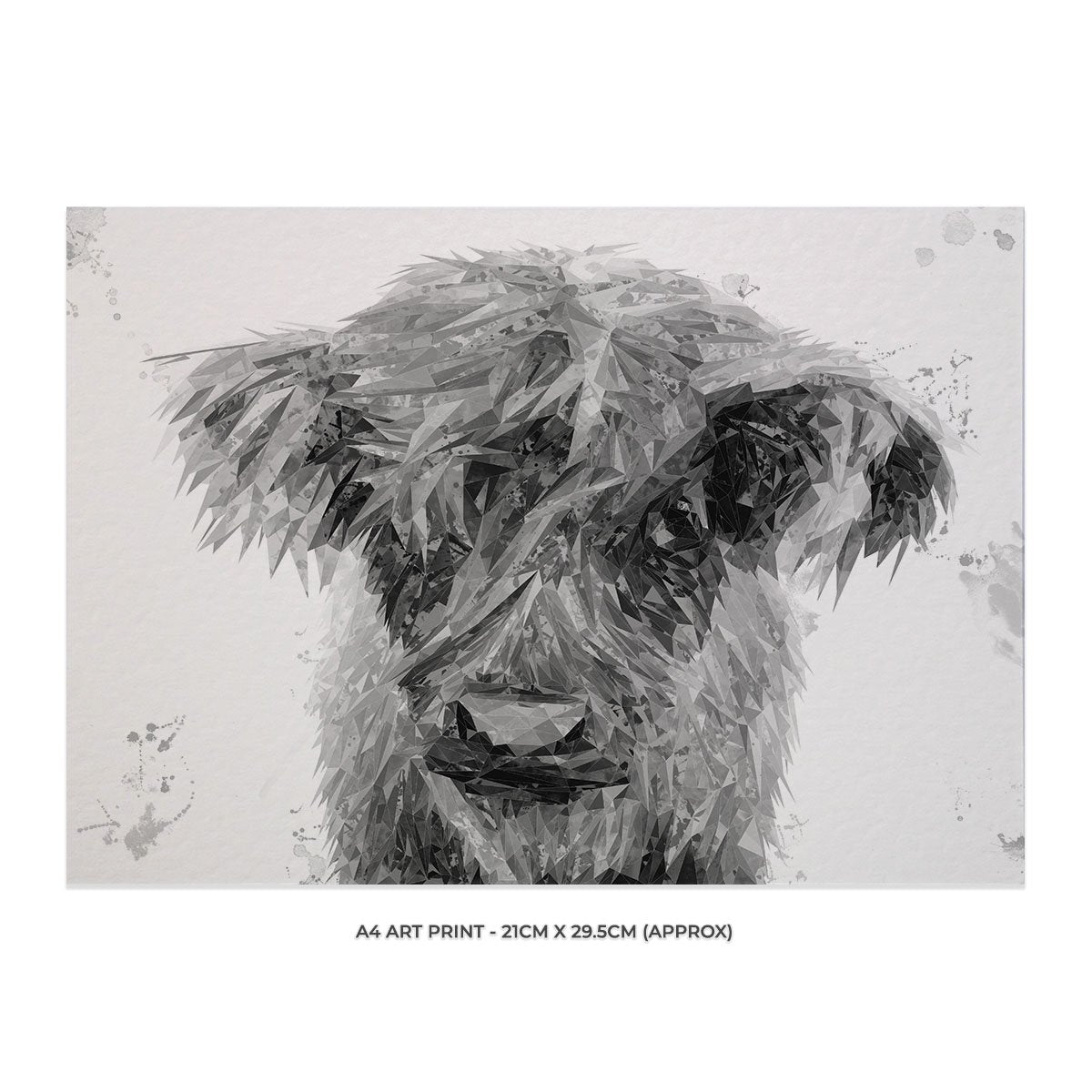 "Peeps" The Highland Calf (B&W) Unframed Art Print - Andy Thomas Artworks