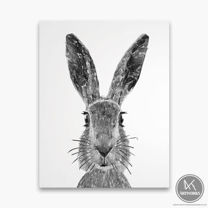 "The Hare" (B&W) Canvas Print