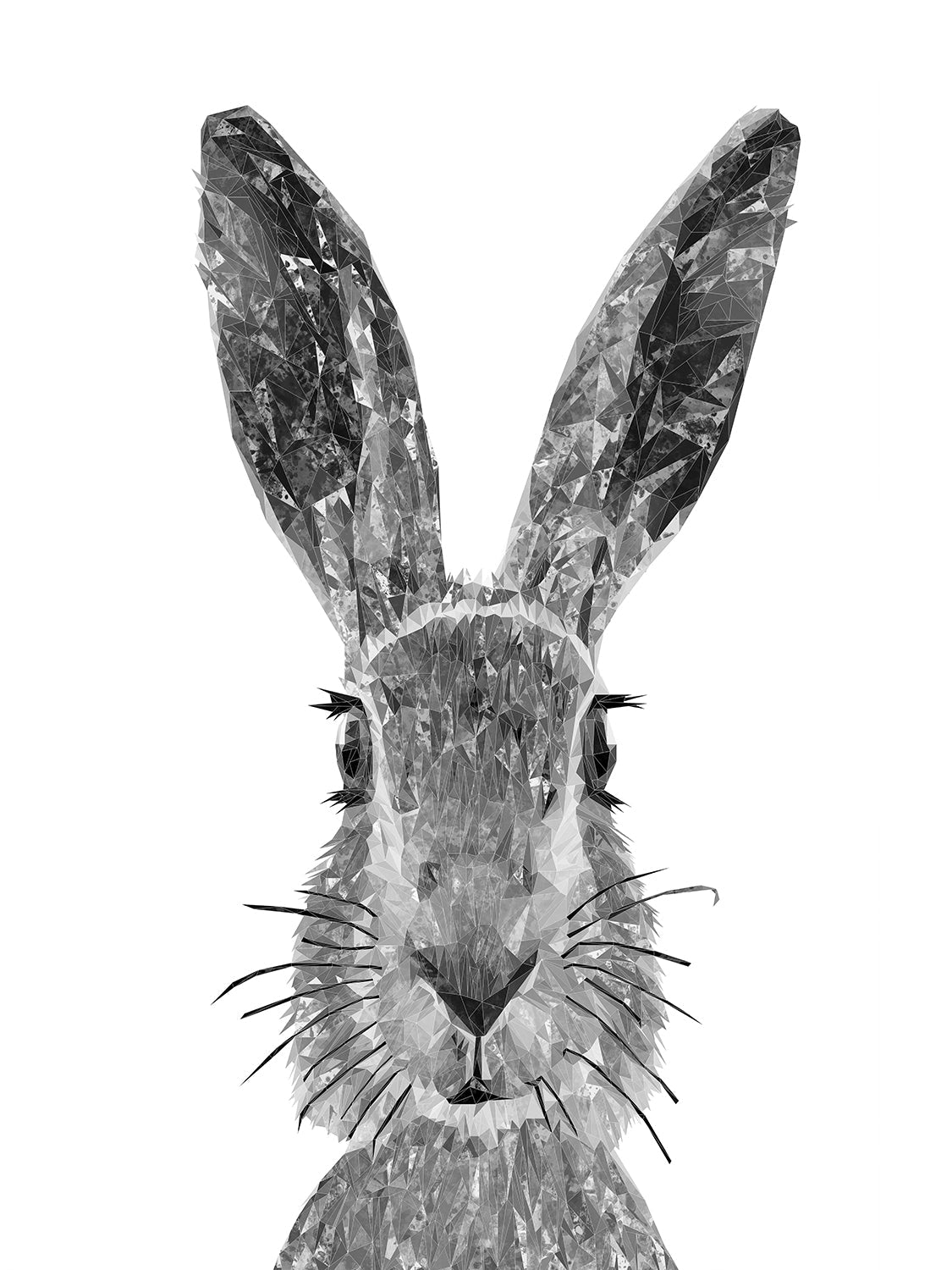 "The Hare" (B&W) Canvas Print