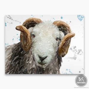 "Stanley" The Herdwick Ram Canvas Print