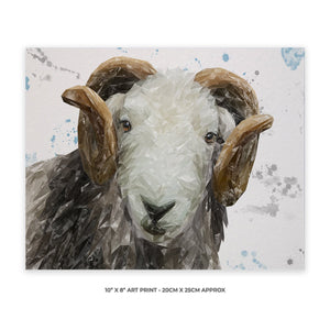 "Stanley" The Herdwick Ram 10" x 8" Unframed Art Print - Andy Thomas Artworks