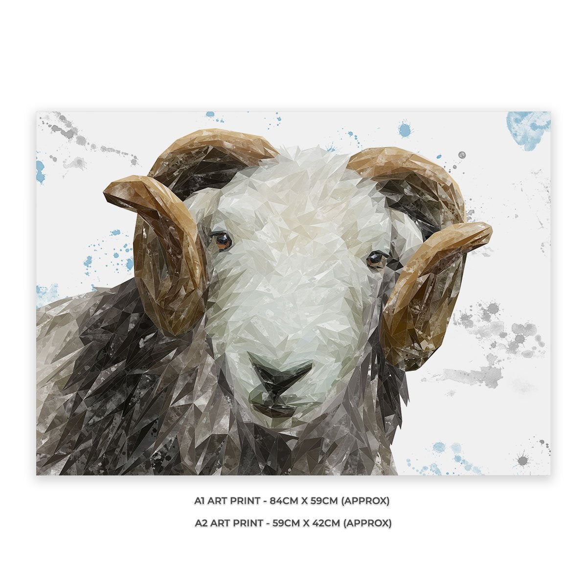 "Stanley" The Herdwick Ram Unframed Art Print - Andy Thomas Artworks