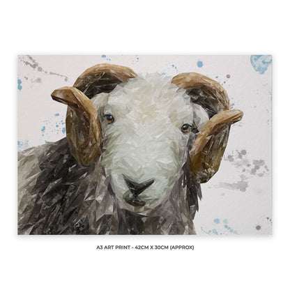 "Stanley" The Herdwick Ram A3 Unframed Art Print - Andy Thomas Artworks