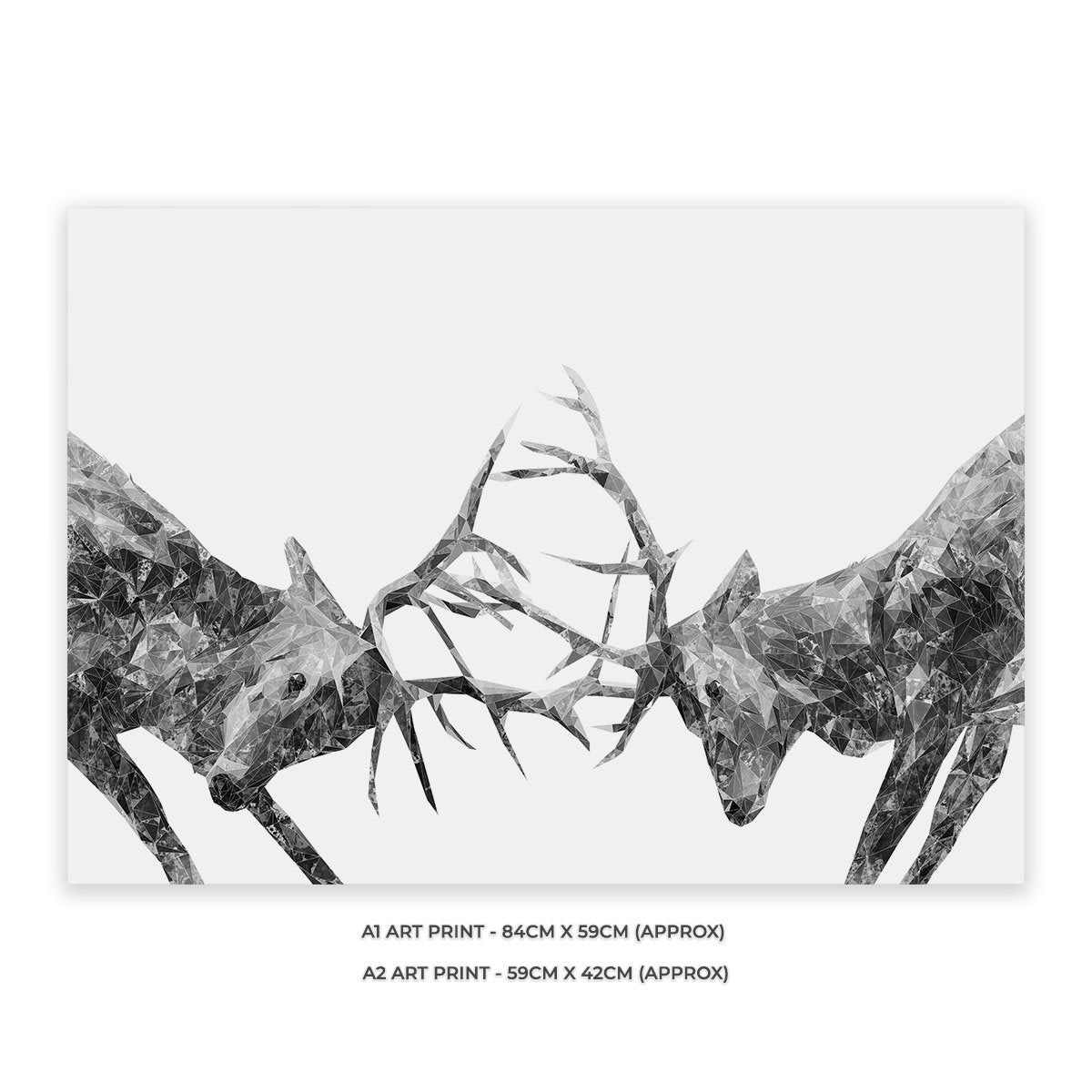 "The Showdown" Rutting Stags (B&W) Unframed Art Print - Andy Thomas Artworks