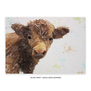 "Buckley" The Highland Calf A3 Unframed Art Print - Andy Thomas Artworks