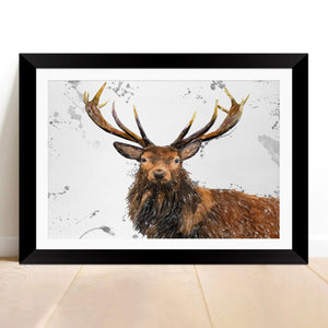 "Rory" The Stag (Grey Background) Framed & Mounted Art Print