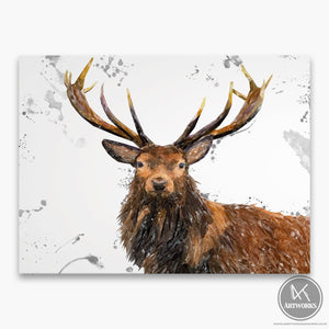 "Rory" The Stag (Grey Background) Canvas Print