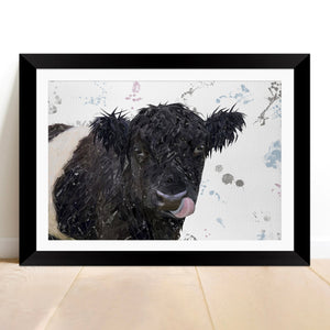 "Eugene" The Belted Galloway Cow Framed & Mounted Art Print