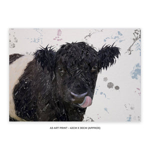 "Eugene" The Belted Galloway Cow A3 Unframed Art Print - Andy Thomas Artworks