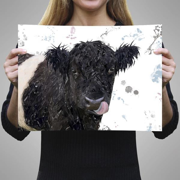 "Eugene" The Belted Galloway Cow A3 Unframed Art Print - Andy Thomas Artworks