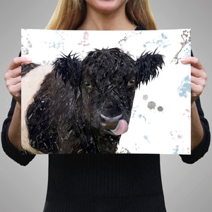 "Eugene" The Belted Galloway Cow Unframed Art Print - Andy Thomas Artworks