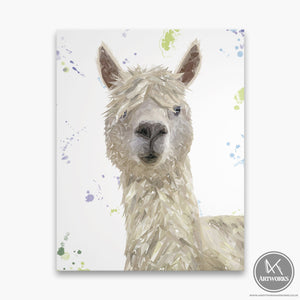 "Rowland" The Alpaca Canvas Print