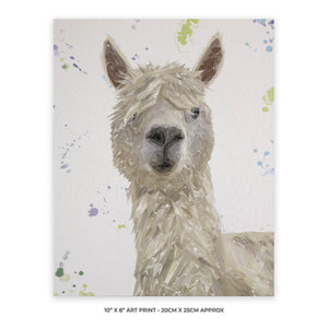 "Rowland" The Alpaca 10" x 8" Unframed Art Print - Andy Thomas Artworks