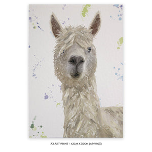 "Rowland" The Alpaca A3 Unframed Art Print - Andy Thomas Artworks