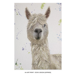 "Rowland" The Alpaca A4 Unframed Art Print - Andy Thomas Artworks
