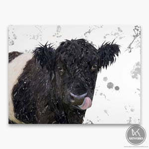 "Eugene" The Belted Galloway Cow (Grey Background) Canvas Print
