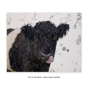 "Eugene" The Belted Galloway Cow (Grey Background) 10" x 8" Unframed Art Print - Andy Thomas Artworks
