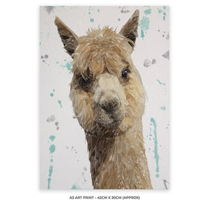 "Alice" The Alpaca A3 Unframed Art Print - Andy Thomas Artworks