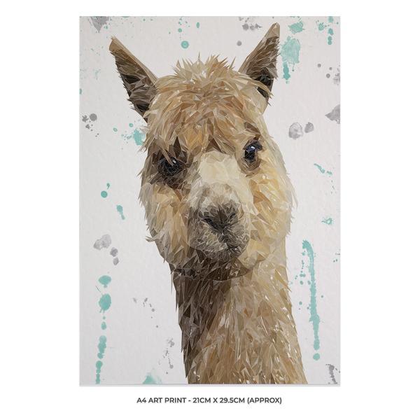 "Alice" The Alpaca A4 Unframed Art Print - Andy Thomas Artworks