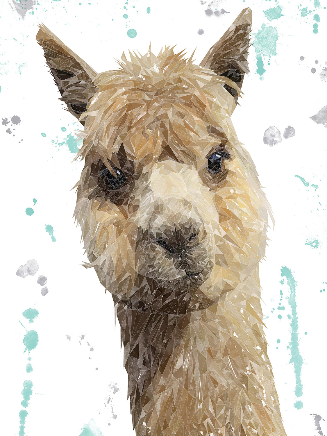 "Alice" The Alpaca Canvas Print