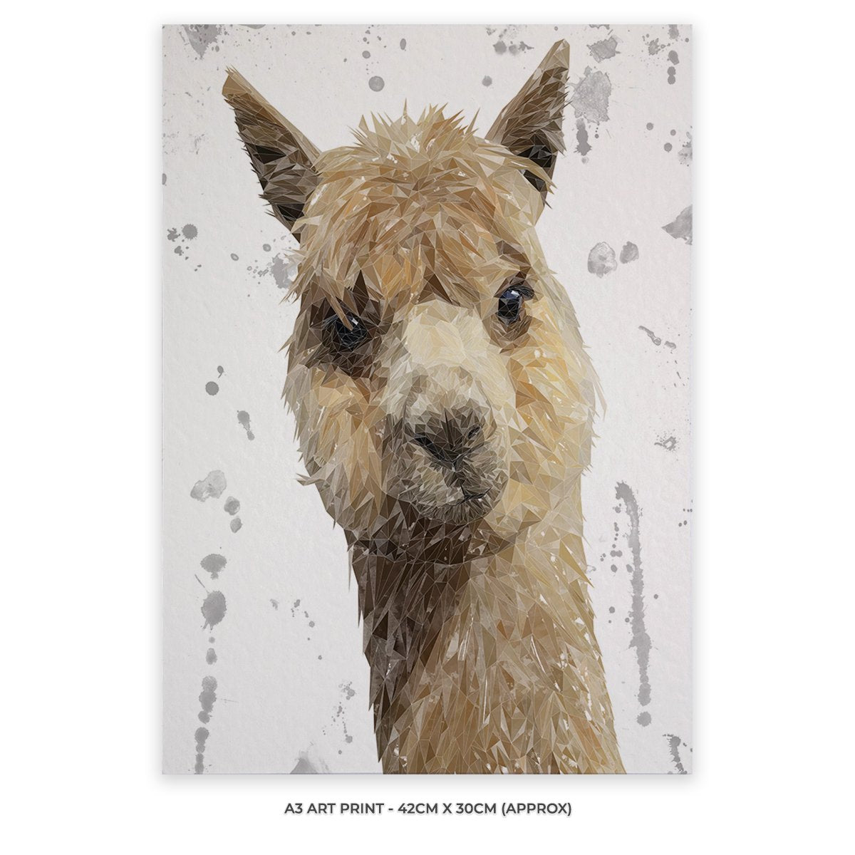 "Alice" The Alpaca (Grey Background) A3 Unframed Art Print - Andy Thomas Artworks