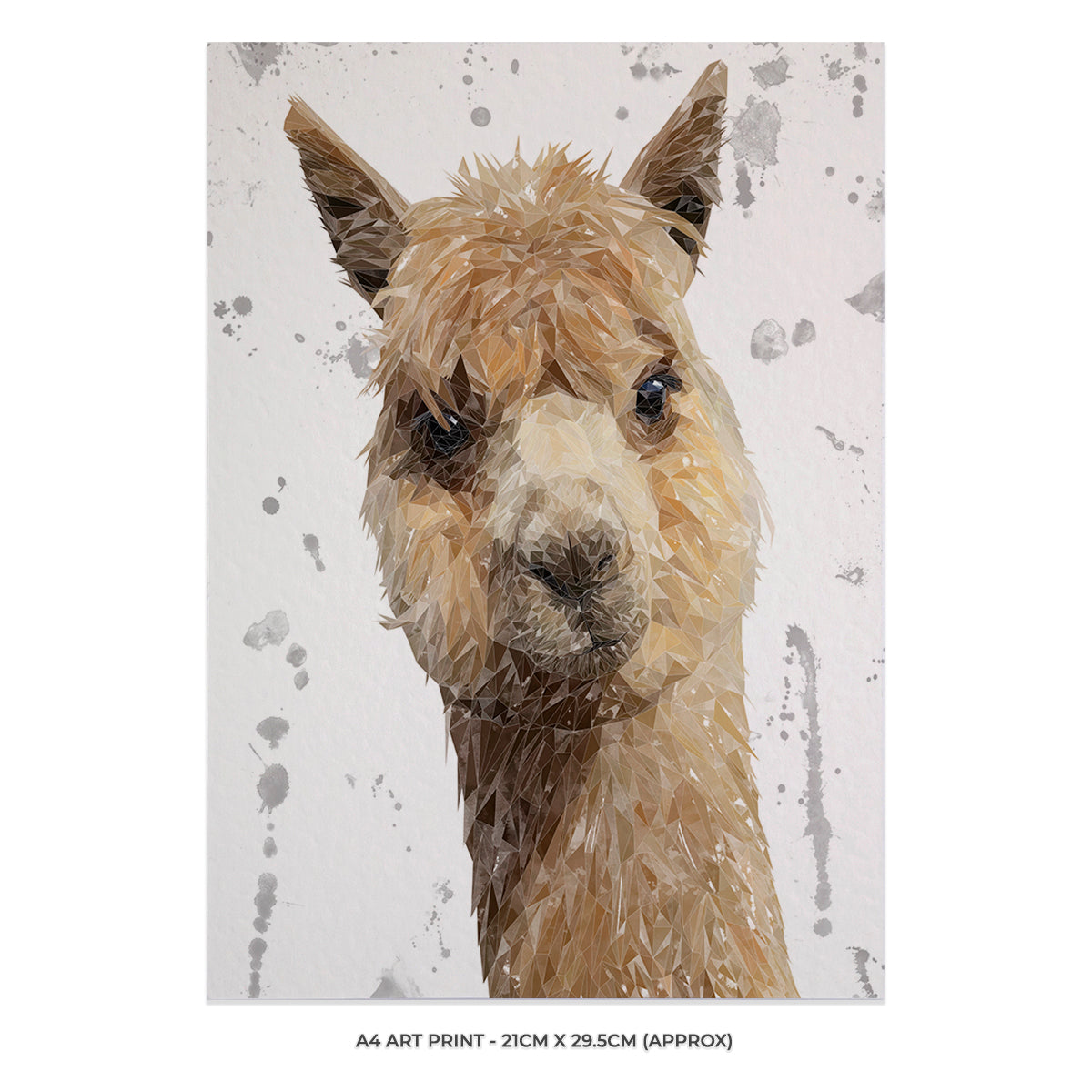 "Alice" The Alpaca (Grey Background) Unframed Art Print - Andy Thomas Artworks