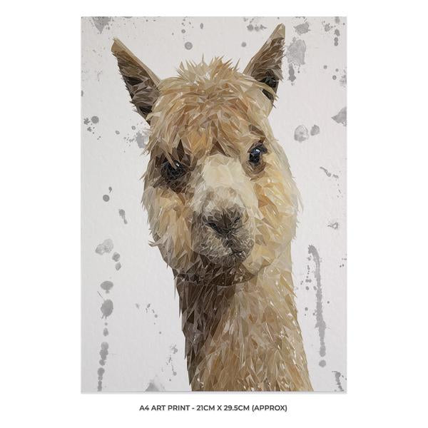 "Alice" The Alpaca (Grey Background) A4 Unframed Art Print - Andy Thomas Artworks