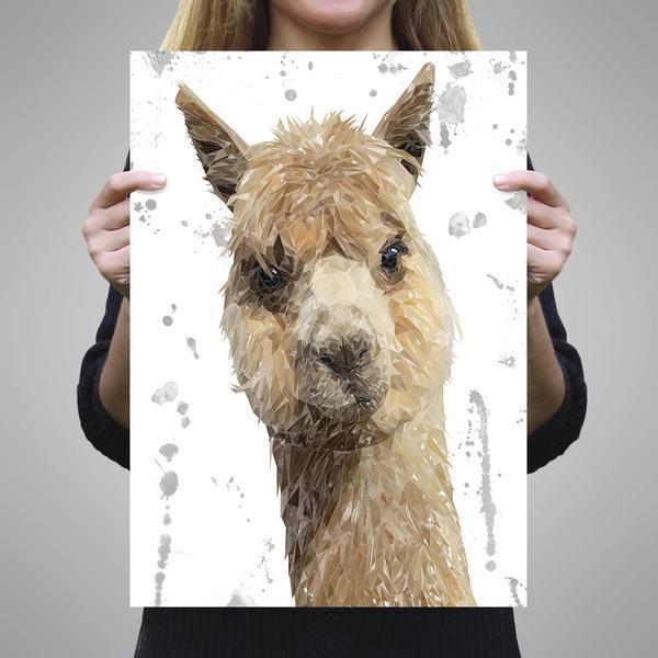 "Alice" The Alpaca (Grey Background) A3 Unframed Art Print - Andy Thomas Artworks