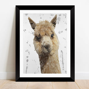 "Alice" The Alpaca (Grey Background) Framed & Mounted Art Print
