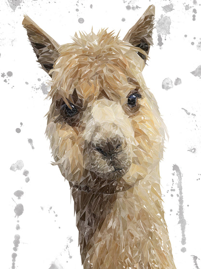 "Alice" The Alpaca (Grey Background) Canvas Print