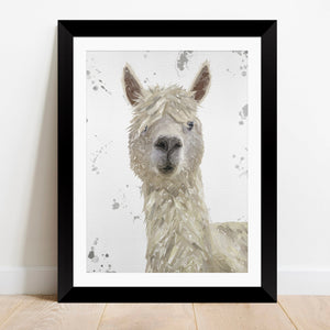 "Rowland" The Alpaca (Grey Background) Framed & Mounted Art Print