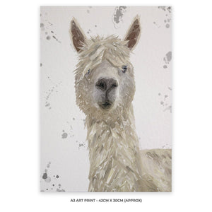 "Rowland" The Alpaca (Grey Background) A3 Unframed Art Print - Andy Thomas Artworks