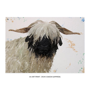 "Bertha" The Valais Blacknose Sheep A4 Unframed Art Print - Andy Thomas Artworks