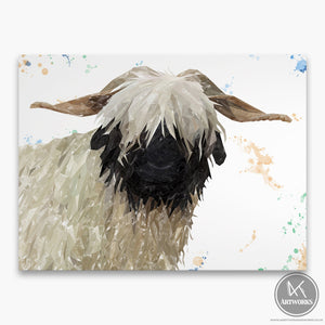 "Bertha" The Valais Blacknose Sheep Canvas Print