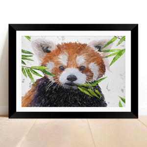 "Red" The Red Panda Framed & Mounted Art Print