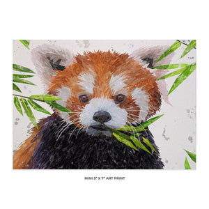 "Red" The Red Panda 5x7 Mini Print - Andy Thomas Artworks