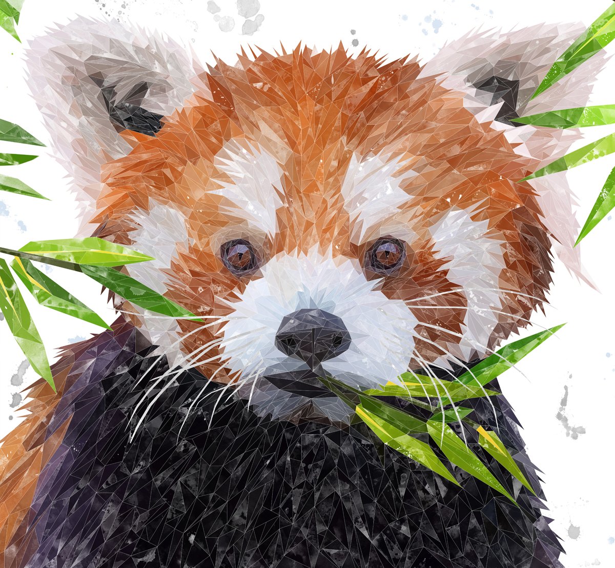 "Red" The Red Panda Kitchen Splashback