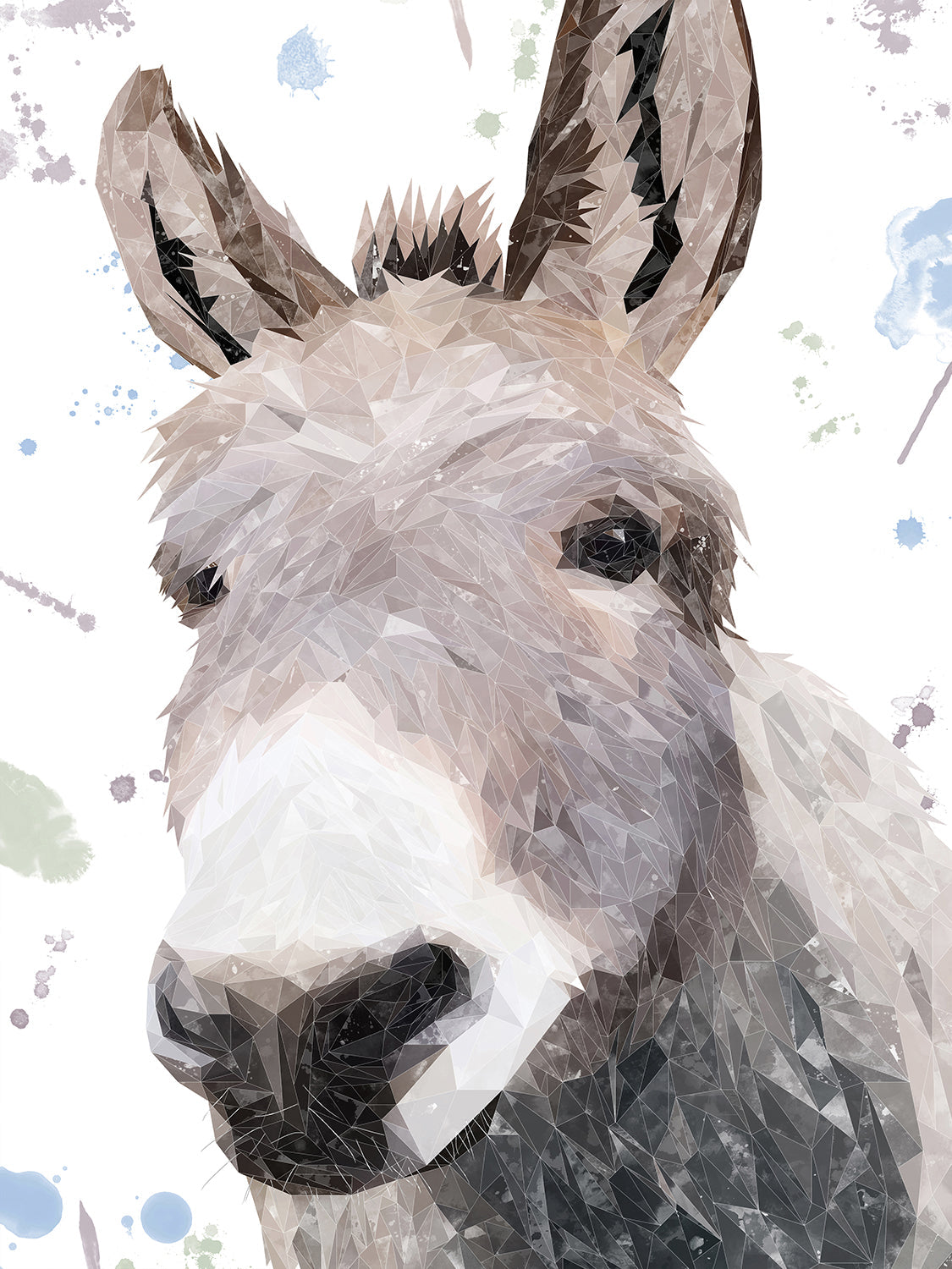 "Daphne" The Donkey Canvas Print