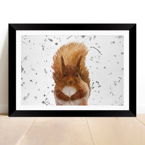"Ellis" The Red Squirrel (Grey Background) Framed & Mounted Art Print