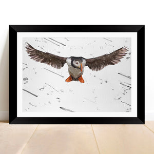 "Frank" The Puffin (Grey Background) Framed & Mounted Art Print