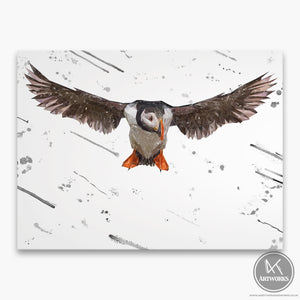 "Frank" The Puffin (Grey Background) Canvas Print