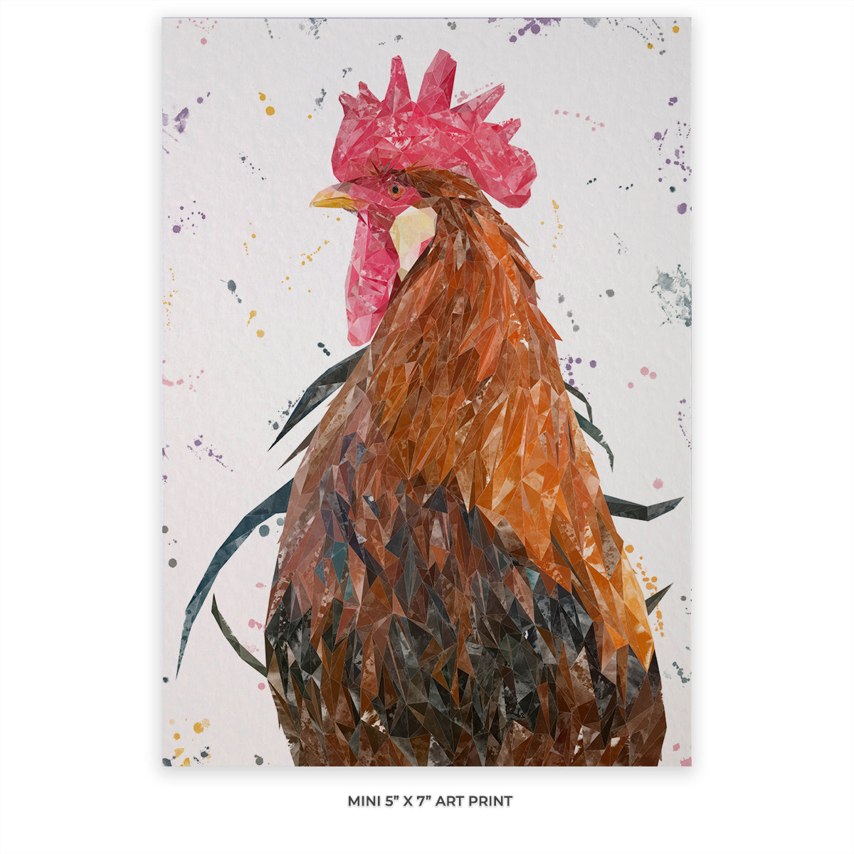 "Cooper" The Cockerel 5" x 7" Mini Print