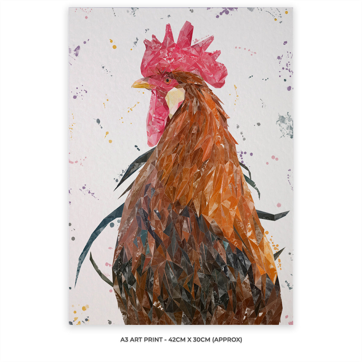 "Cooper" The Cockerel A3 Unframed Art Print