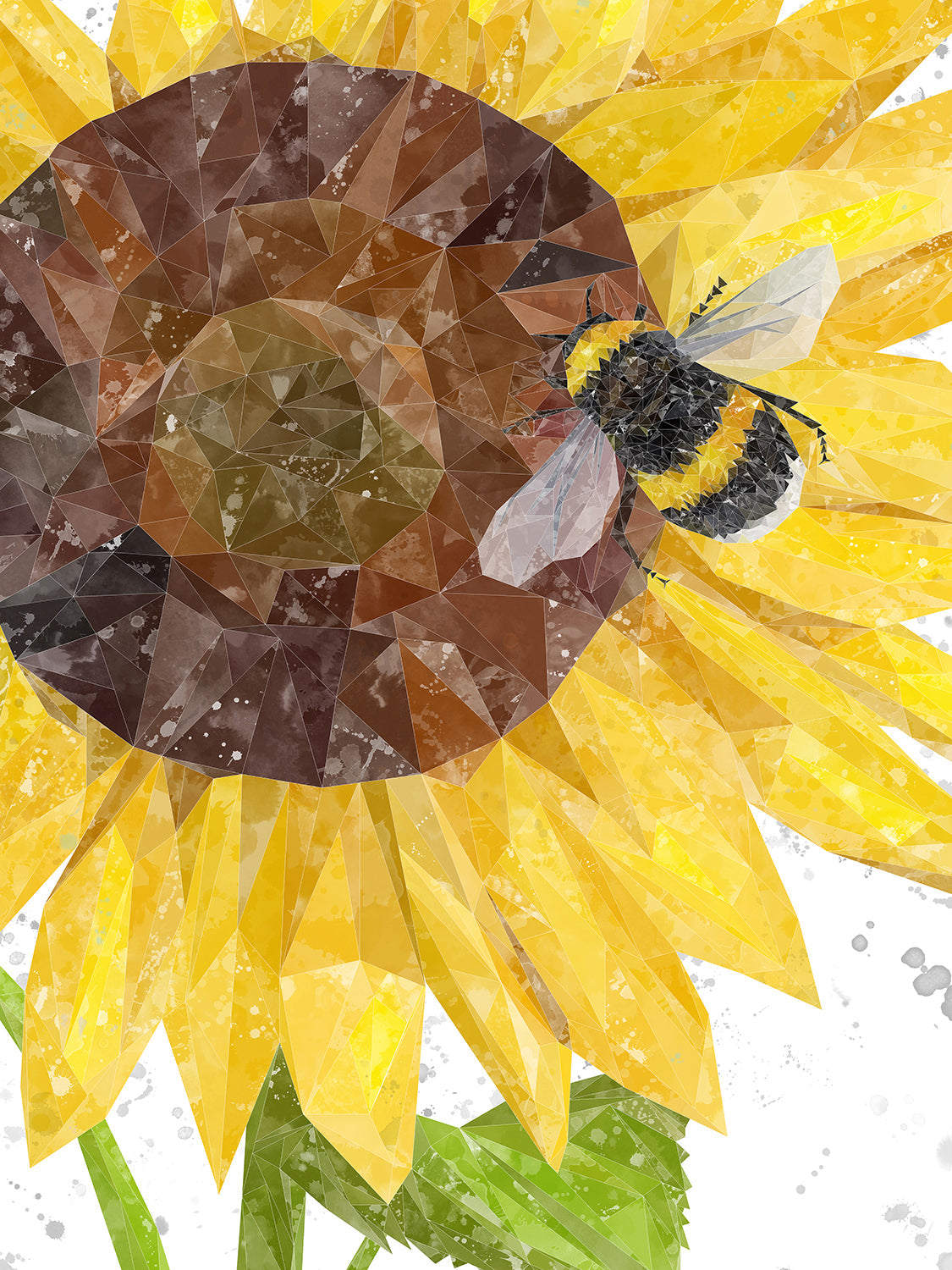 "Summer Nectar" The Bee and The Sunflower (Grey Background) Canvas Print