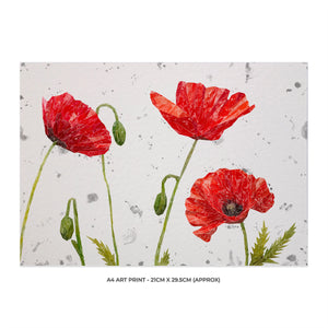 "Hope" Poppies A4 Unframed Art Print (grey background)