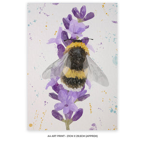 "Lavender Buzz" Bee and Lavender A4 Unframed Art Print