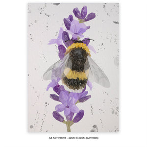 "Lavender Buzz" Bee & Lavender (Grey Background) A3 Unframed Art Print