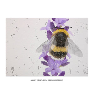 NEW "Lavender Buzz" Bee & Lavender (landscape, grey background) A4 Unframed Art Print