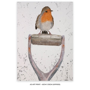 "Bobbin" The Robin (Grey Background) A3 Unframed Art Print