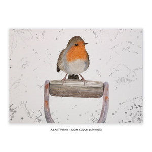 "Bobbin" The Robin (Landscape, Grey Background) A3 Unframed Art Print